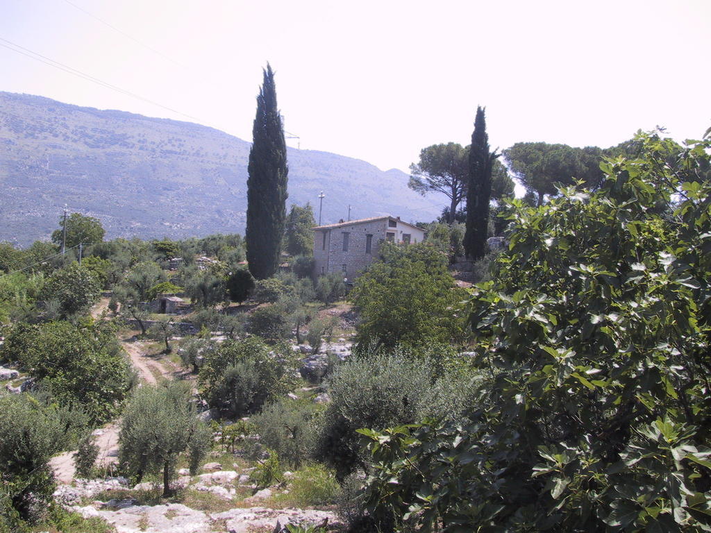 B&B H.M. Sonnino Exterior photo